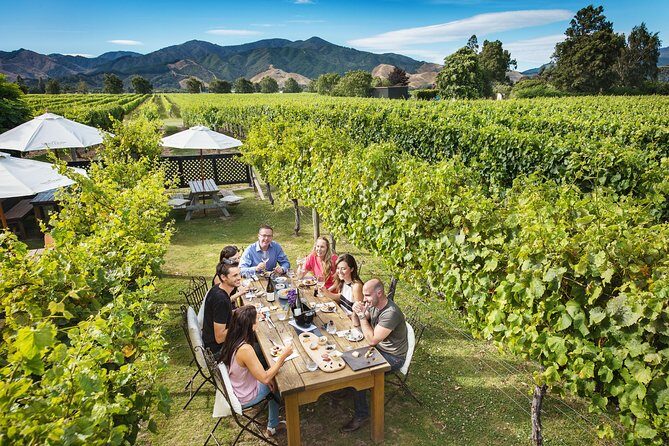 Exclusive Picton Wine & Scenic Adventure: VIP Cruise Experience - Exploring the Picton VIP Wine & Scenic Tour in Detail
