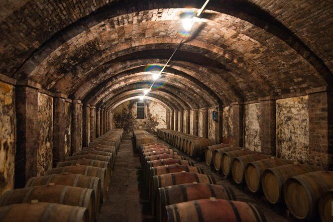 Exclusive Pisa and Wine Tour - Key Points