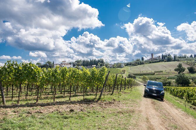 Exclusive Pisa and Wine Tour - FAQ