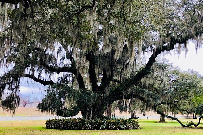 Exclusive Private Access Evergreen Plantation & City Tour - Key Points