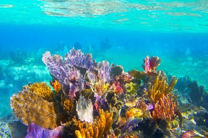 Exclusive Private Boat to El Cielo - Why Choose This Tour?