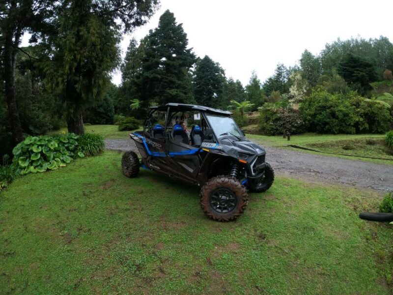 Exclusive Private Buggy Adventure: Forest and Mountains - Key Points