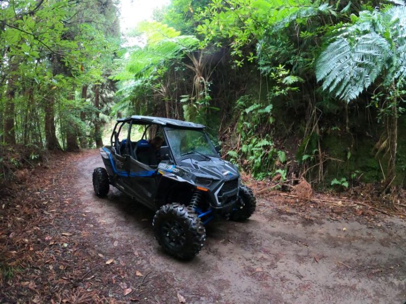 Exclusive Private Buggy Adventure: Forest and Mountains - FAQ