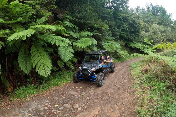 Exclusive Private Buggy Adventure: Forest and Mountains - Authentic Experiences and Reviewer Insights