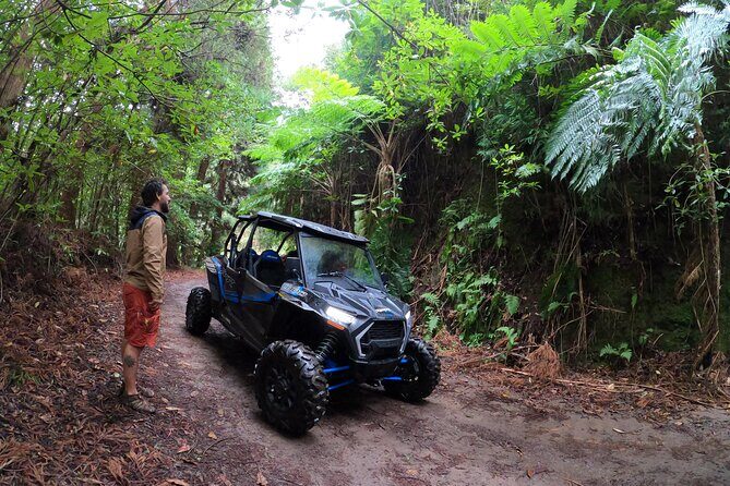 Exclusive Private Buggy Adventure: Forest and Mountains - Practical Tips for Future Travelers