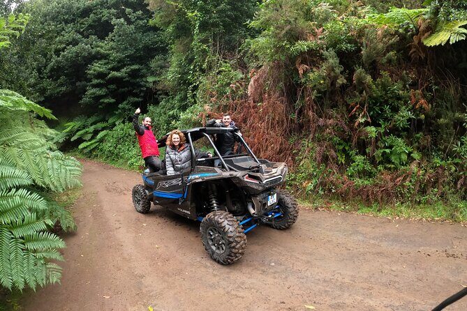 Exclusive Private Buggy Adventure: Forest and Mountains - Final Thoughts