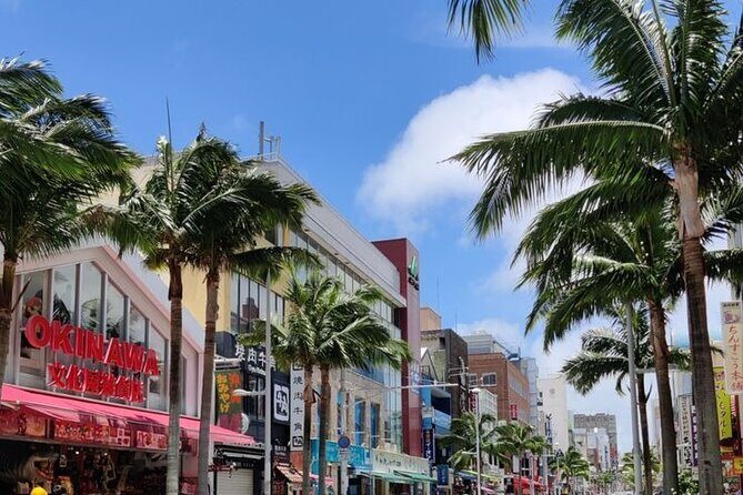 Exclusive Private Full Day Okinawa Island Tour with a Local Guide - Discover Okinawa: A Private Full-Day Tour that Combines Culture, Nature, and City Life