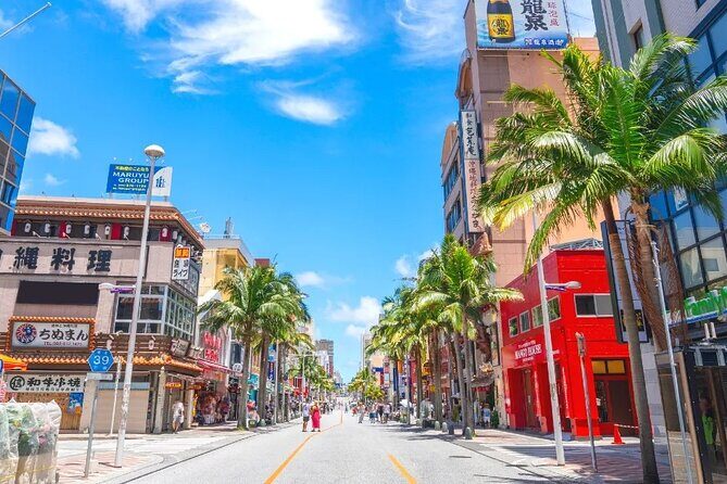 Exclusive Private Full Day Okinawa Island Tour with a Local Guide - Who Will Love This Tour?