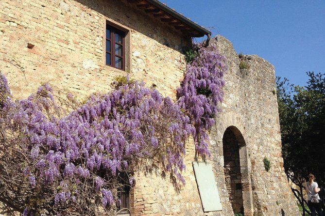 Exclusive Private tour To Siena and San Gimignano - A Private Day in Tuscany’s Heart: Siena and San Gimignano