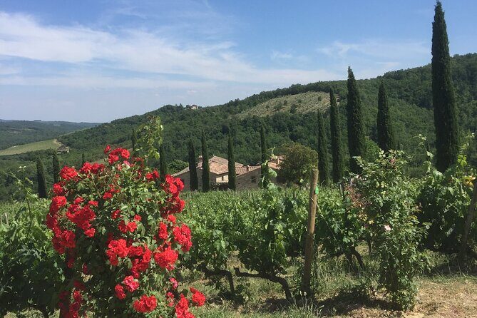 Exclusive Private tour To Siena and San Gimignano - Final Thoughts