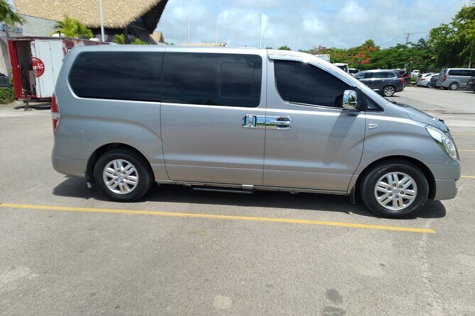 Exclusive Private Transfer: Punta Cana Airport to Bávaro Hotels - Key Points