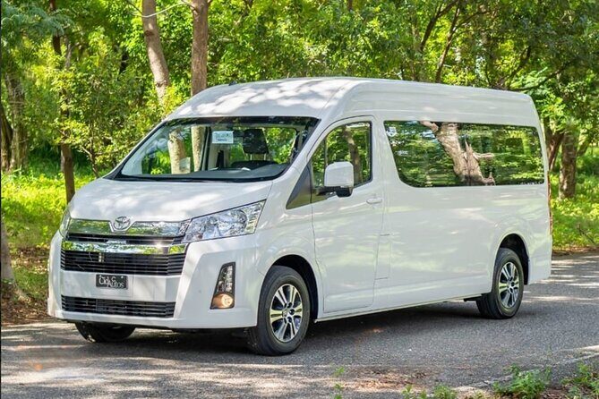 Exclusive Private Transfer: Punta Cana Airport to Bávaro Hotels - Why Choose This Transfer Over Other Options?