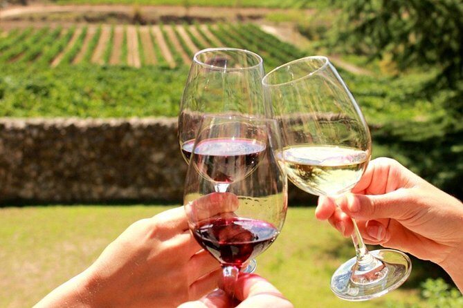 Exclusive Private Tuk-Tuk Tour: Visit to a Sardinian Winery - Discover Sardinia’s Wine on a Private Tuk-Tuk Tour from Olbia
