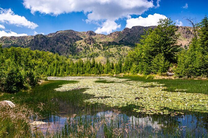Exclusive Qafshtama National Park Hiking Tour With Private Transfer - Exploring Qafshtama National Park: What to Expect