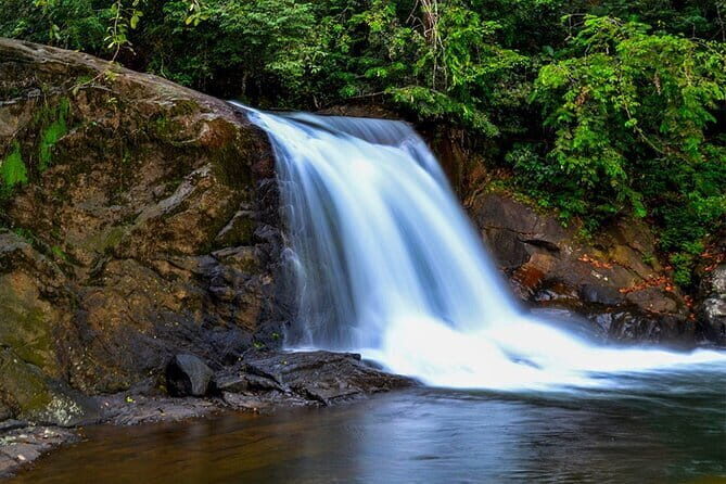Exclusive Rainforest Tour Capped with a Refreshing Waterfall Dip - The Value of This Tour