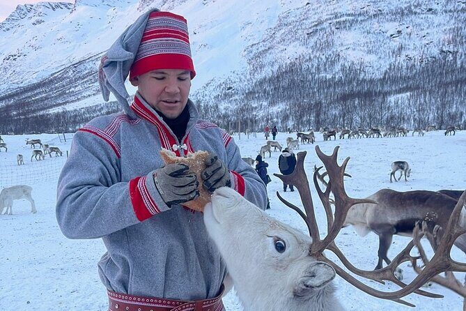 Exclusive Reindeers Experience in small groups, Tromso - Frequently Asked Questions