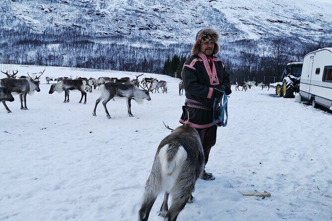 Exclusive Reindeers Experience in small groups, Tromso - Final Thoughts