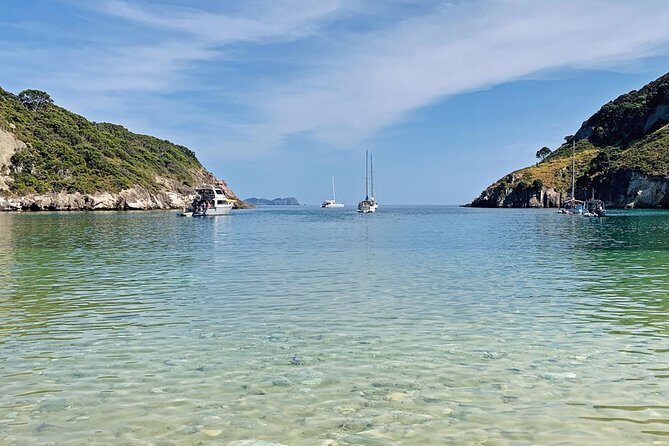 Exclusive Sailing Charter from Waiheke Island - Exploring Waiheke Island on a Private Sailing Charter