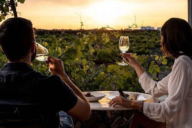 Exclusive Santorini Private Wine Tasting & Greek Lunch Experience - What to Expect During the Tour