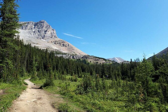 Exclusive Skoki Backcountry Guided Hiking in Lake Louise with Van Shuttle - Who Would Love This Tour?