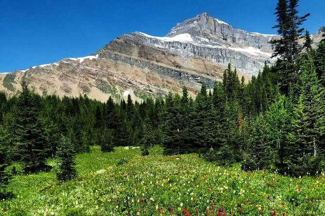 Exclusive Skoki Backcountry Guided Hiking in Lake Louise with Van Shuttle - In The Sum Up