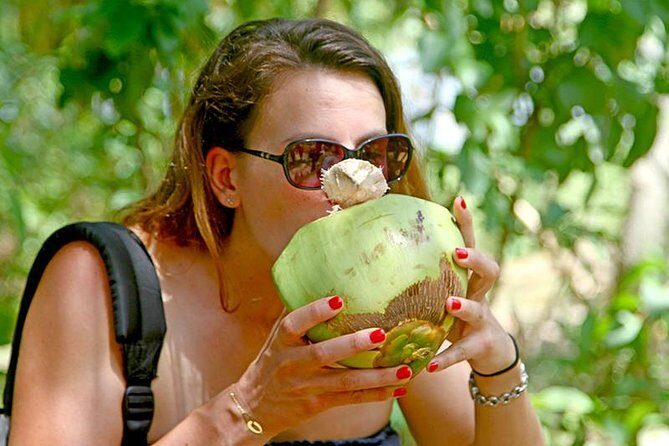 Exclusive : Southern Sri Lanka Sightseeing Private Day Trip - Potential Drawbacks and Considerations