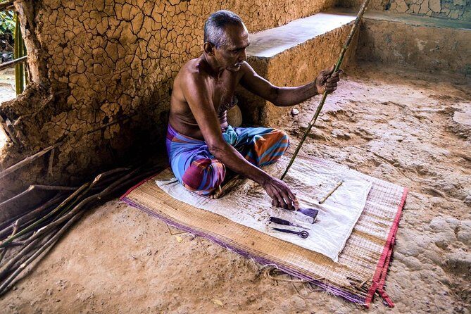 Exclusive : Southern Sri Lanka Sightseeing Private Day Trip - Who is This Tour Best For?