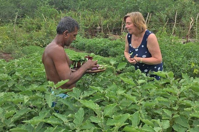 Exclusive : Southern Sri Lanka Sightseeing Private Day Trip - The Sum Up