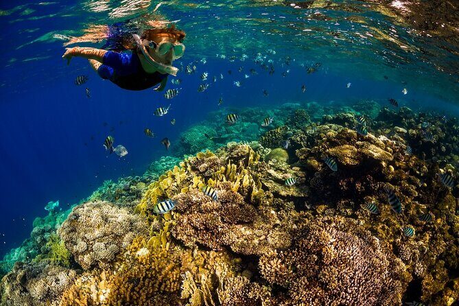 Exclusive Super Raft Kona Snorkel Tour Family Friendly Adventure - An In-Depth Look at the Super Raft Kona Snorkel Tour