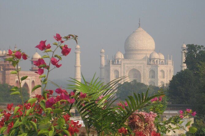 Exclusive Taj Mahal & Agra Fort Day Trip From Delhi by Car - A Detailed Look at the Experience
