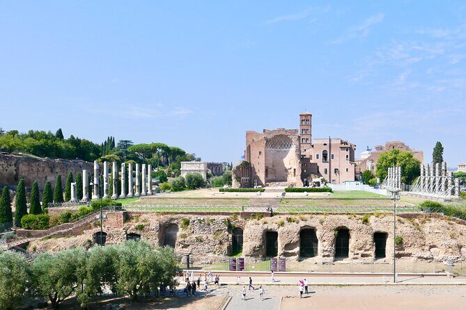 Exclusive Tour Colosseum Arena with Archaeologist & Roman Forum - Final Words