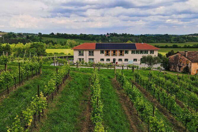Exclusive Tour of the Vineyards with Visit to the Cellar! - FAQ