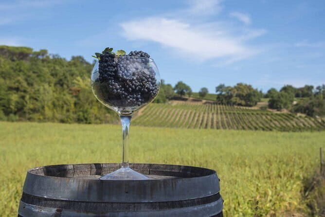 Exclusive Tuscan Pinot Noir, Land of Medici Family - A Deep Dive into Tuscany’s Hidden Pinot Noir: The Land of the Medici