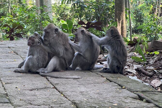 Exclusive Ubud Experience: Nature, Culture & Adventure in One Day - The Sum Up