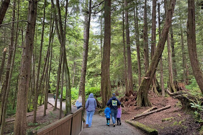 Exclusive Van Experience - Detailed Breakdown of the Experience