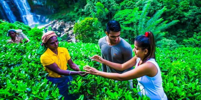 Exclusive : Village Trekking Tour at Ramboda - An Authentic Day in Sri Lanka’s Hill Country: Ramboda Village Trekking Tour