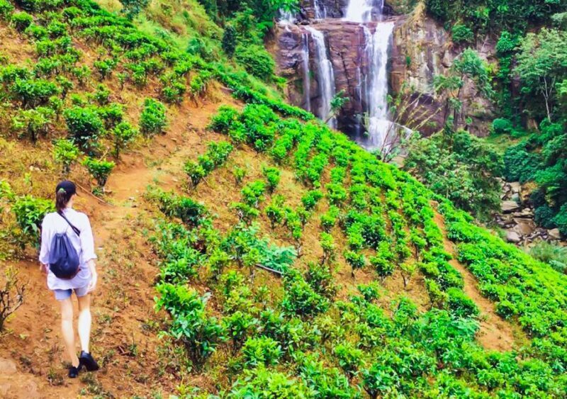 Exclusive : Village Trekking Tour at Ramboda - Final Thoughts