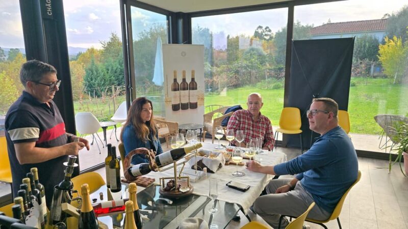 Exclusive Vinho Verde (Green Wine) experience & lunch - Who Will Love This Tour?