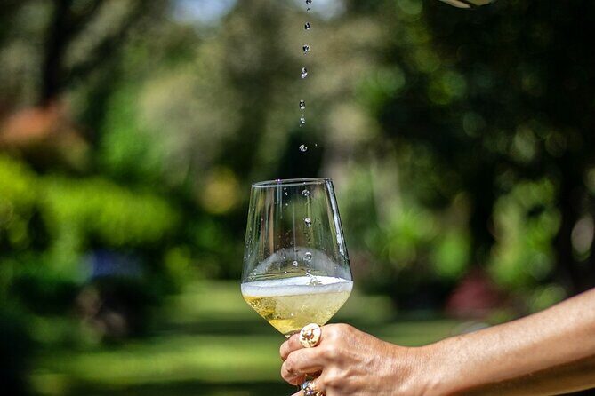 Exclusive Vinho Verde (Green Wine) experience & lunch - Key Points