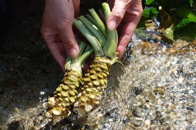 Exclusive Wasabi Harvesting, Soba Lunch and Matsumoto Castle Tour - Exploring the Itinerary in Detail