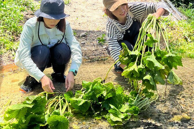 Exclusive Wasabi Harvesting, Soba Lunch and Matsumoto Castle Tour - Practical Tips for Travelers