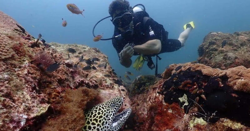 Exclusive Whale & Dolphin Tours in Sri Lanka: Trincomalee - Why It’s a Great Choice for Travelers