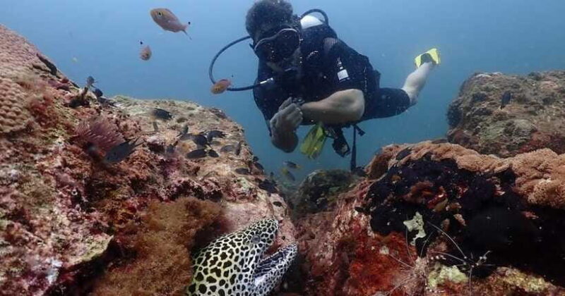 Exclusive Whale & Dolphin Tours in Sri Lanka: Trincomalee - Final Thoughts