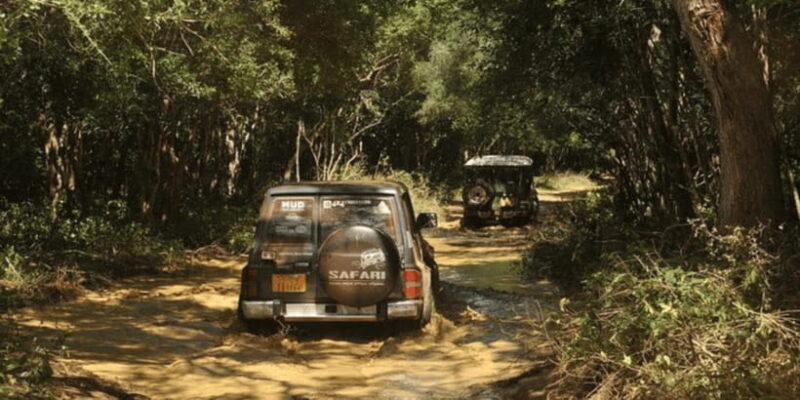 Exclusive : Wildlife Full Day Adventure in Wilpattu - The Journey and Pick-up