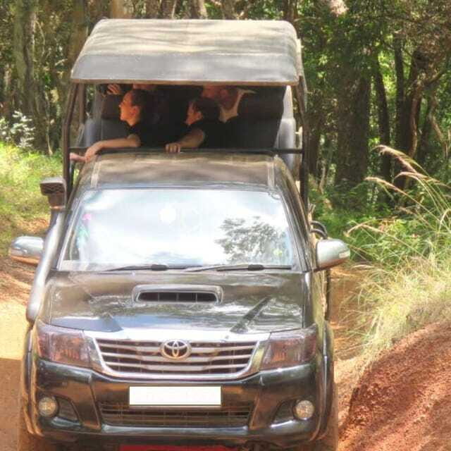 Exclusive : Wildlife Full Day Adventure in Wilpattu - Lunch and Rest