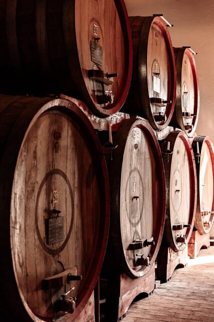 Exclusive Wine Experience: Venetian Best Vineyards - Exploring the Venetian Best Vineyards Experience