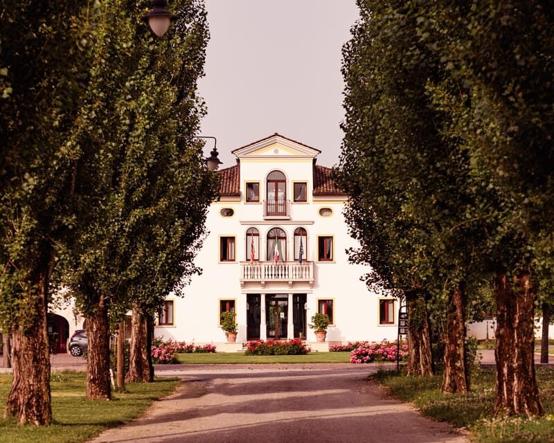 Exclusive Wine Experience: Venetian Best Vineyards - Who Should Consider This Tour?