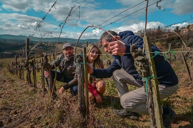 Exclusive Wine Tour and Tasting Experience in Siena - Key Points