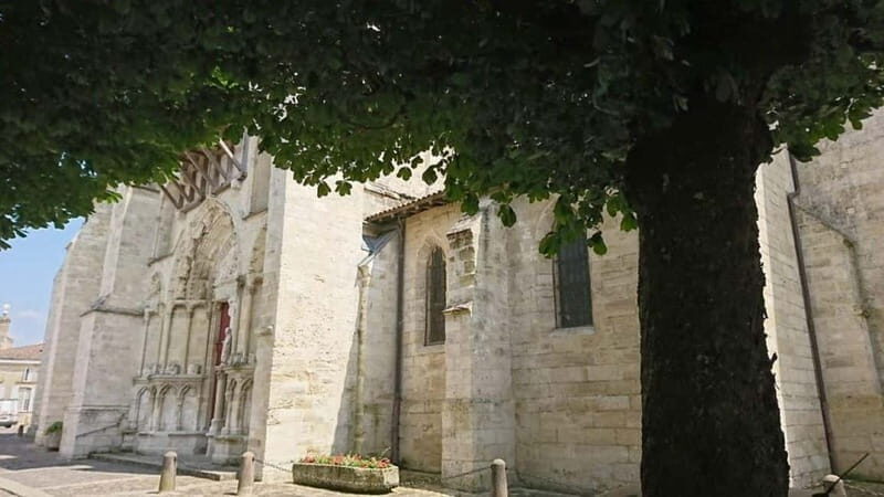 Exclusive Wine Tour of the St-Émilion Chateaux with tastings - An In-Depth Look at the Saint-Émilion Wine Tour Experience