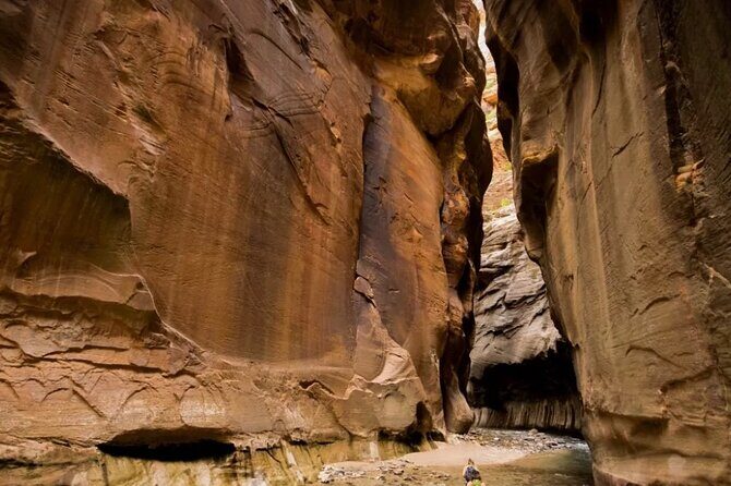 Exclusive Zion National Park Tours - Key Points